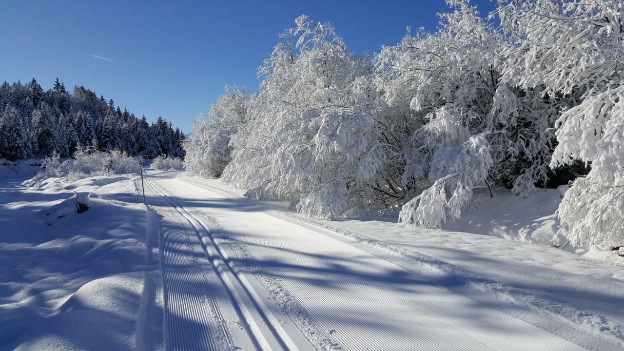 Ferienwohnung Bergtraum Mittenwald Zewnętrze zdjęcie